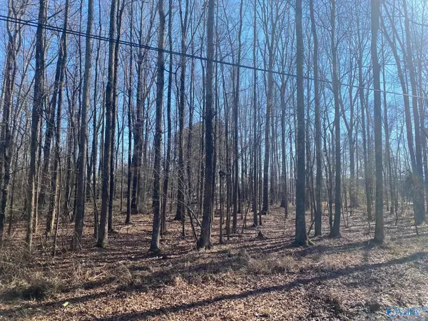 Hazel Green, AL 35750,Lot 8 Greenfield Road