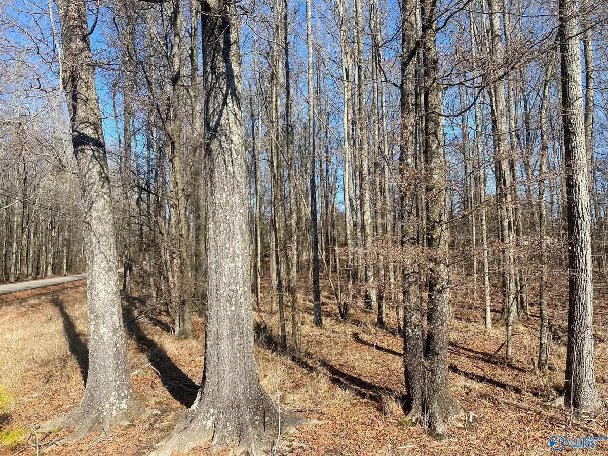 Hazel Green, AL 35750,Lot 8 Greenfield Road