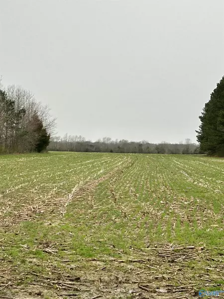 5.8 Acres Scott Road, Toney, AL 35773