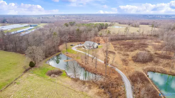 Higdon, AL 35979,3731 County Road 155