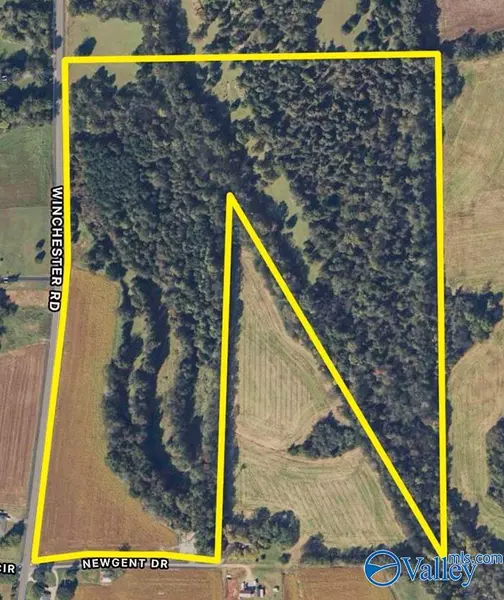 16 acres Winchester Road, New Market, AL 35761