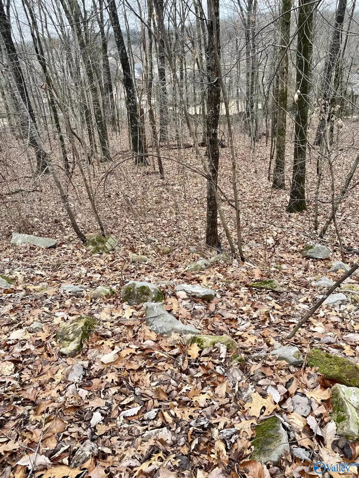 Madison, AL 35758,313 Kensington Drive