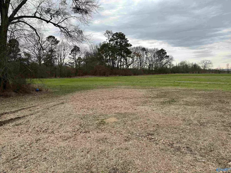 6168 Mount Hebron Douglas Road, Douglas, AL 35964