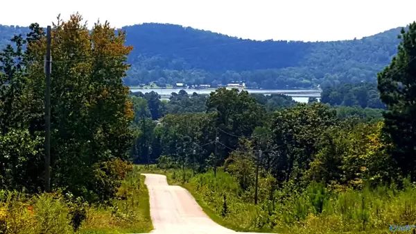 Southside, AL 35907,1 Raymond Lane