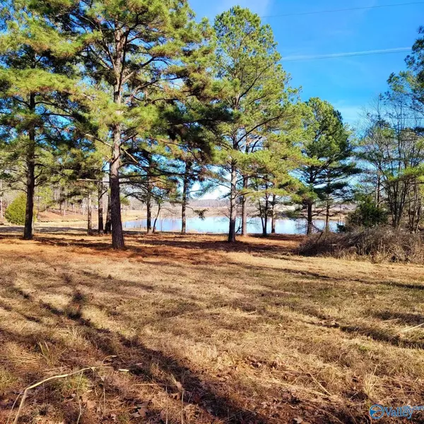 Lot 6 County Road 1010, Centre, AL 35960