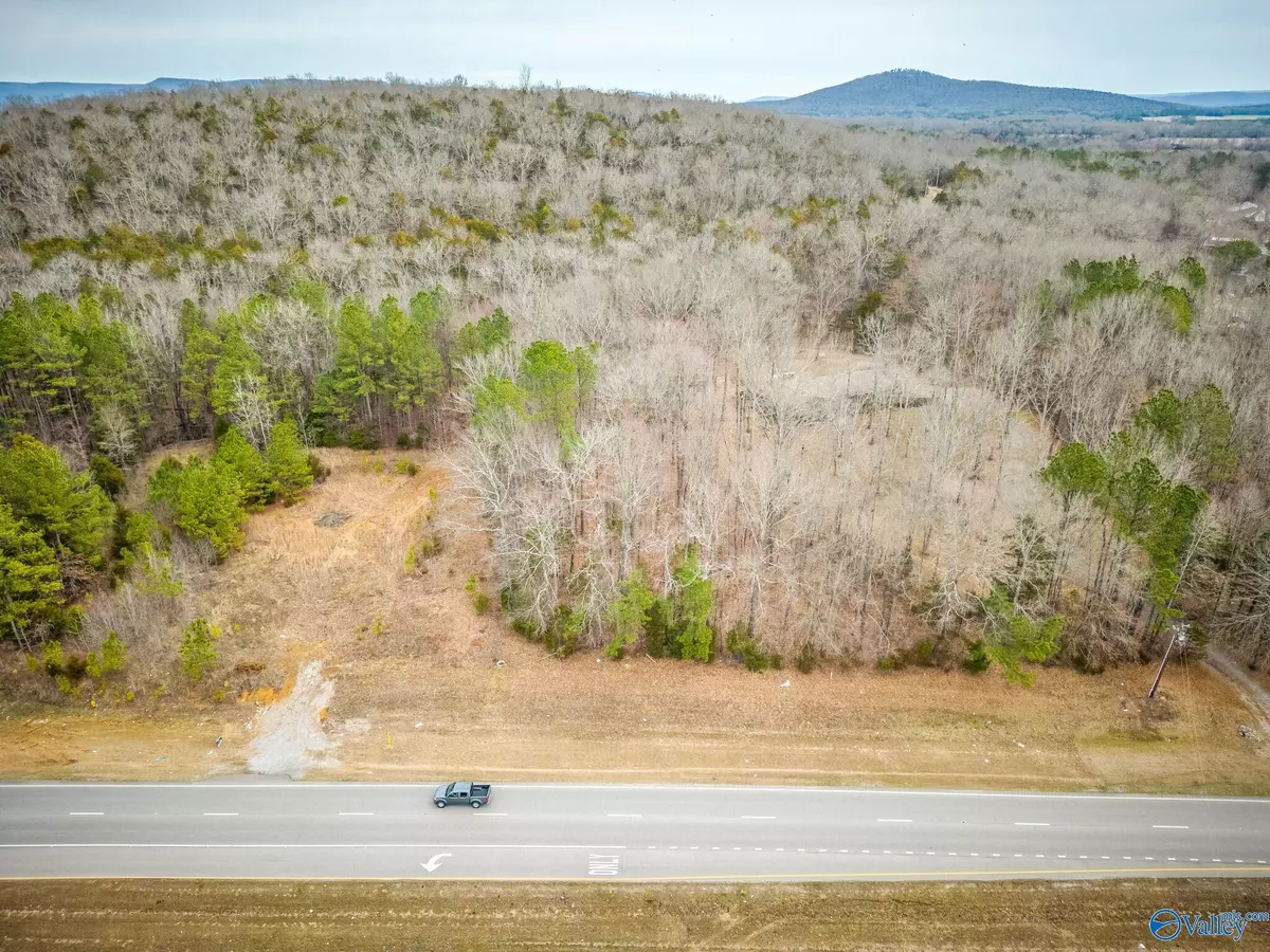 New Hope, AL 35760,3 Acres N Highway 431