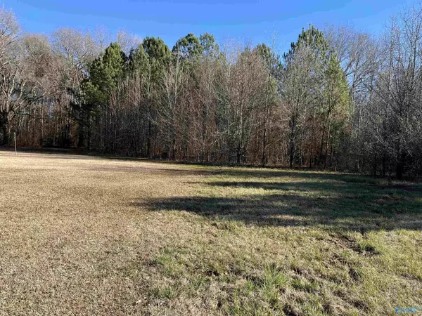 Decatur, AL 35603,20 ac Sierra Drive SW