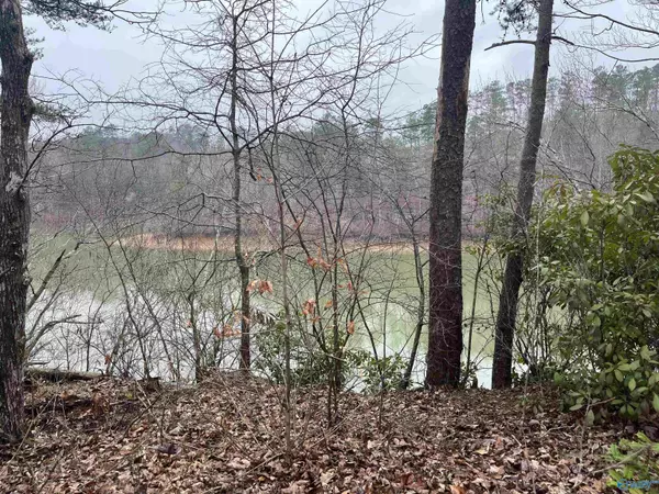 Lot 36 Highland Drive, Jasper, AL 35501