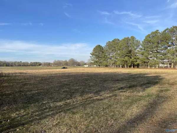 Lot 1 - 0.47 AC Bethel Road, Elkmont, AL 35620