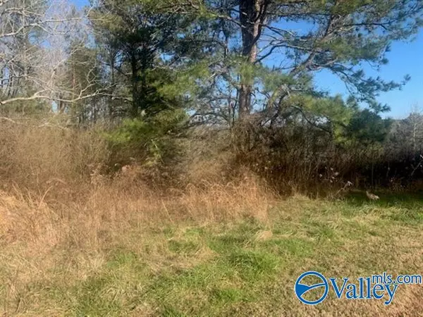 2.75 Ac County Road 818, Cullman, AL 35098