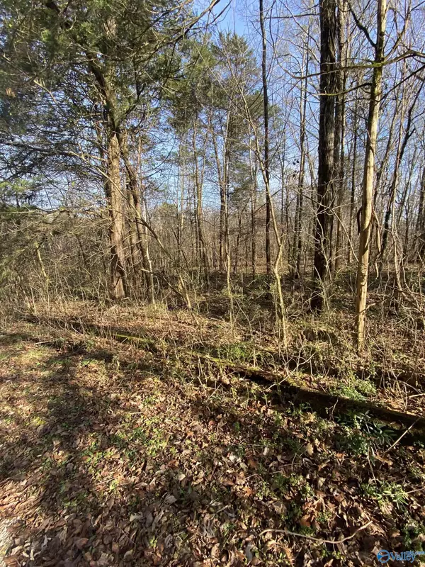 lot 24 Lake Drive #24, Scottsboro, AL 35769