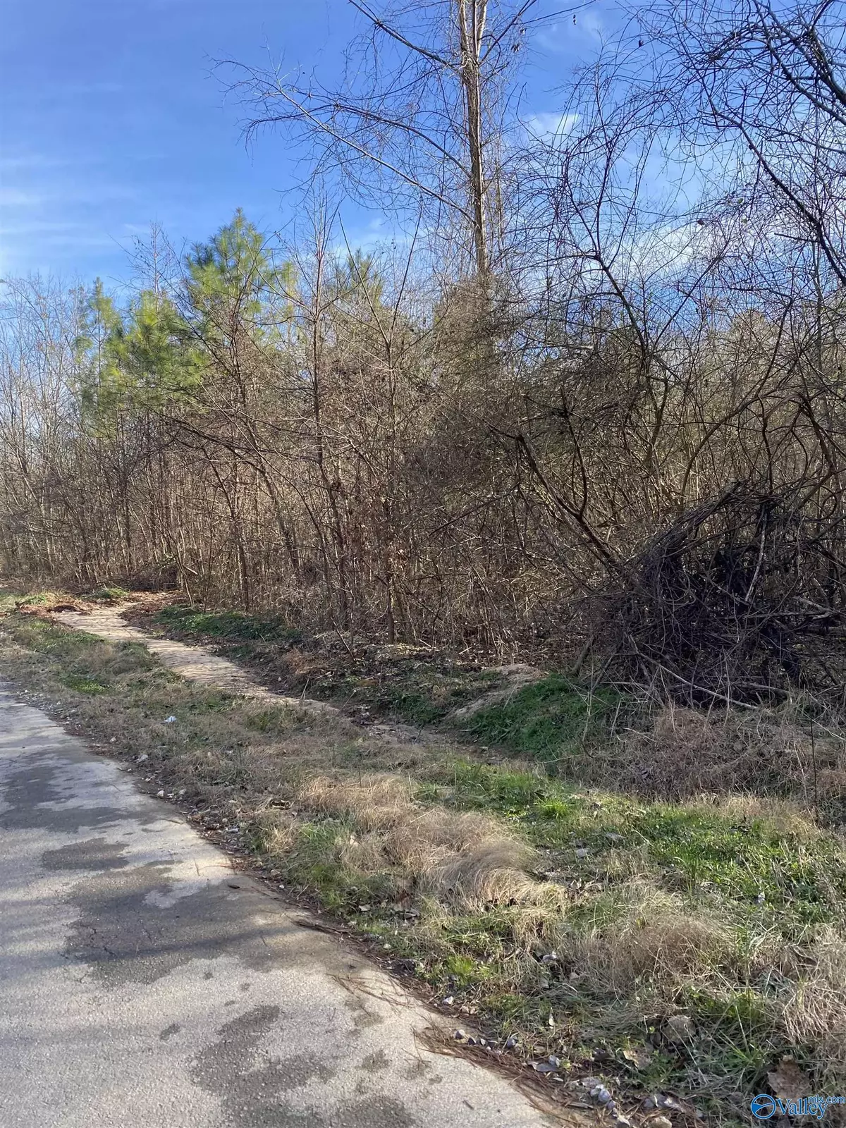 Scottsboro, AL 35769,lot 26 Aspen Lane