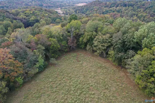 Fayetteville, TN 37334,Lot 6 Lees Creek Road