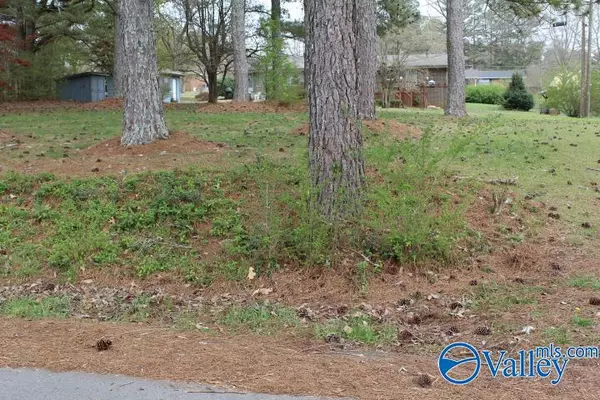 Lot 5 11th Street NW, Arab, AL 35016