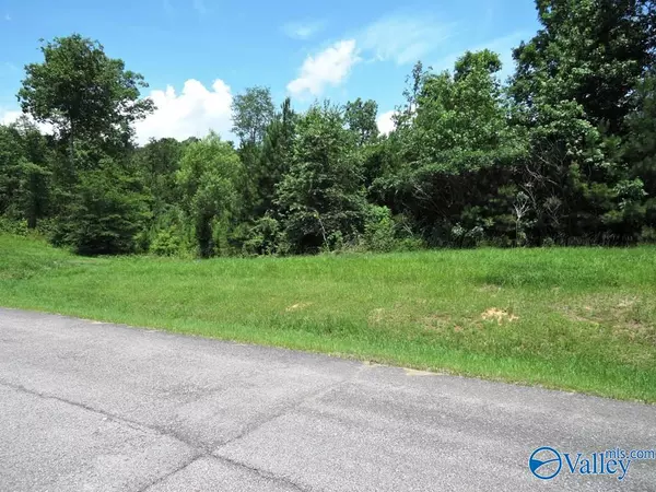 Double Springs, AL 35553,Lot 209 Stoney Point Drive