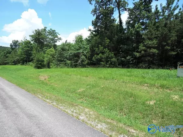 Double Springs, AL 35553,Lot 209 Stoney Point Drive