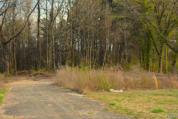 Scottsboro, AL 35769,1.38 Highway 72