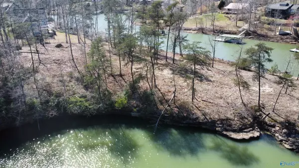 Arley, AL 35541,Lot 16 Bear Branch Pl