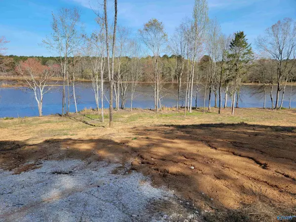 Cedar Bluff, AL 35959,23 County Road 48