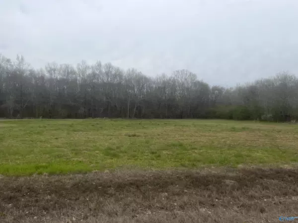 Lot 3 and 4 Gant Road, Scottsboro, AL 35769