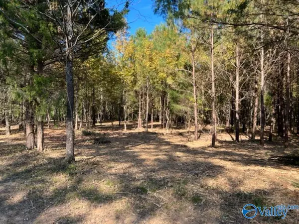 Somerville, AL 35670,Lot 3 Lyle Circle