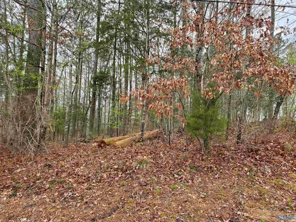 lot 72 Hillcrest Drive, Scottsboro, AL 35769