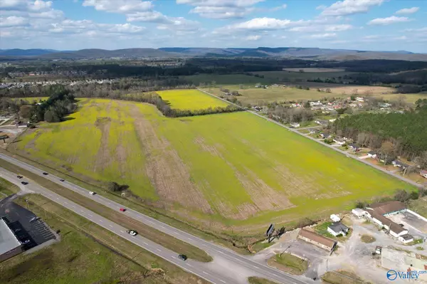 Owens Cross Roads, AL 35763,24 Acres Highway 431