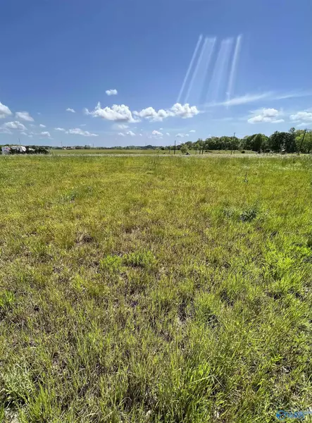 Lot 42 County Road 1042, Centre, AL 35960