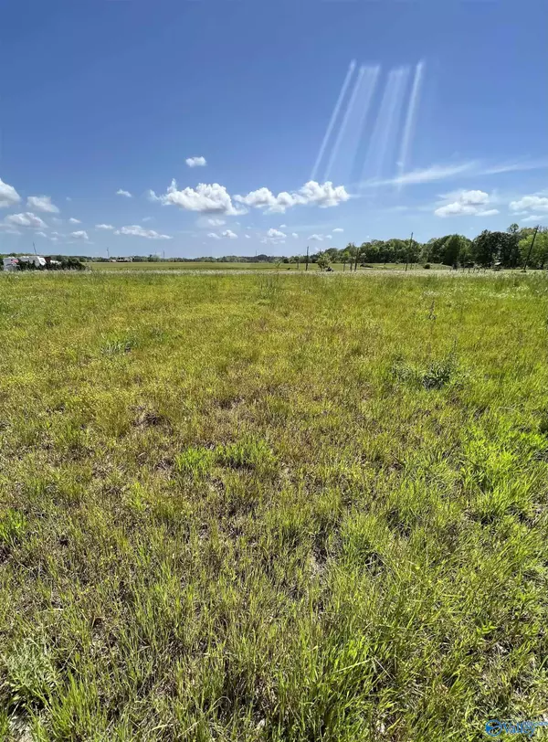 Lot 42 County Road 1042, Centre, AL 35960