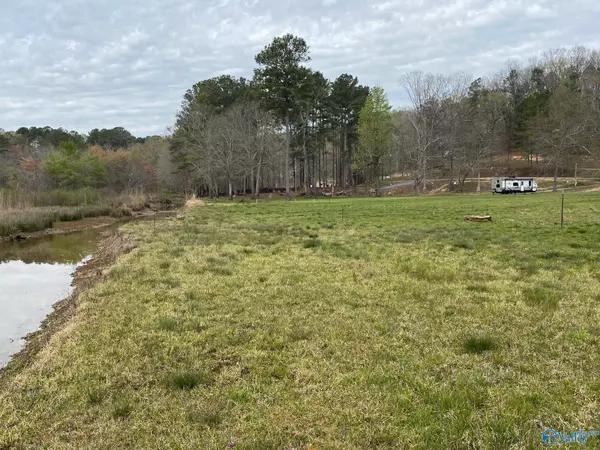 Cedar Bluff, AL 35959,lot 14 County Road 243