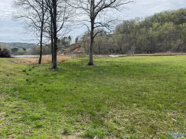 Cedar Bluff, AL 35959,lot 18 County Road 243