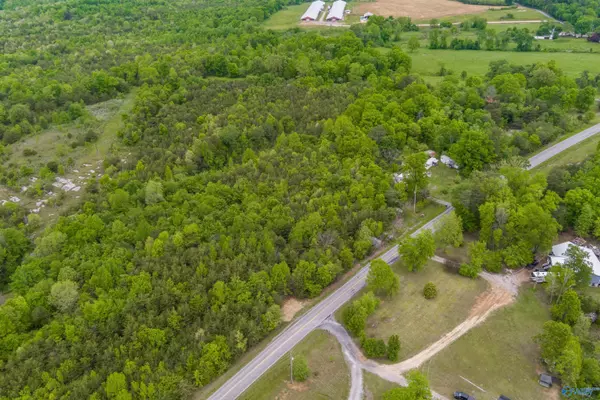 Ider, AL 35981,11.2 acres County Road 141