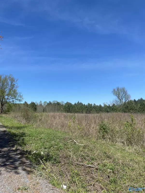 Fort Payne, AL 35967,lot 6 County Road 858