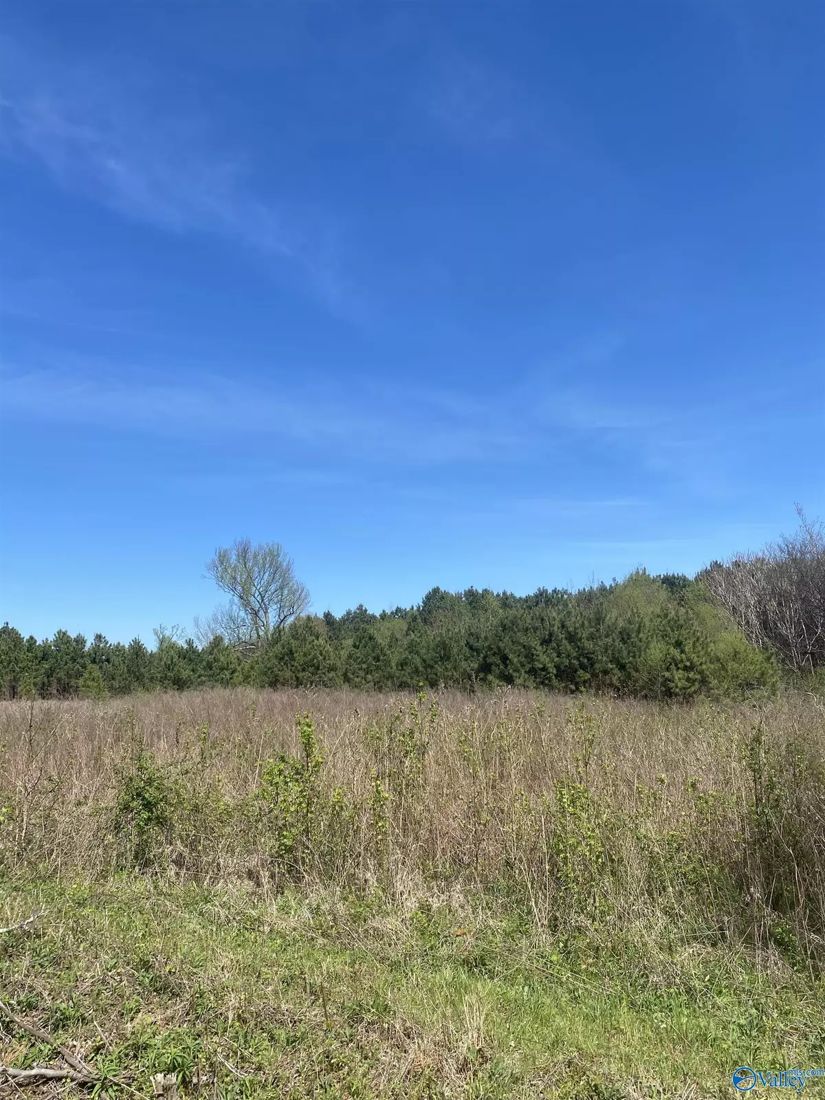 Fort Payne, AL 35967,lot 6 County Road 858