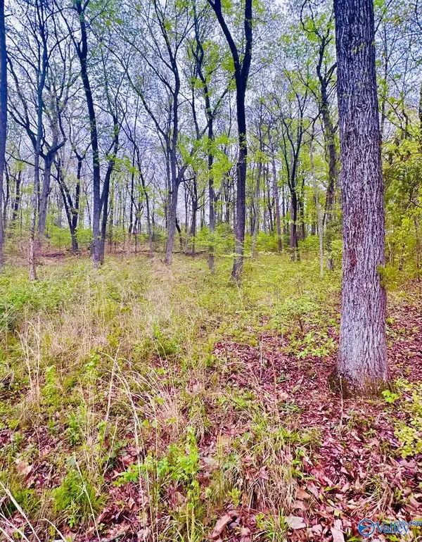 Decatur, AL 35603,Lot 14 Murray Drive