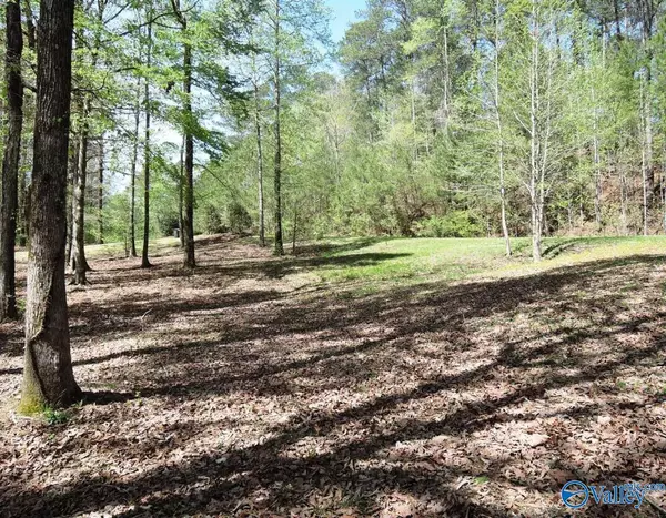 Crane Hill, AL 35053,1190 County Road 175