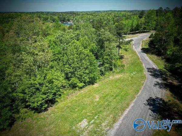 Arley, AL 35441,1056 Brushy Creek Main