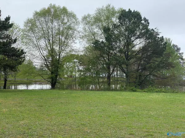 Lot 302 Main Street, Pisgah, AL 35765