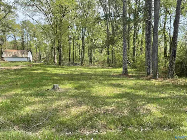 Lot 2 Block 5 Greenview Avenue, Rainbow City, AL 35906