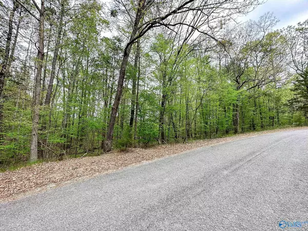 Gadsden, AL 35901,2.5 ac Aqua Vista Drive East