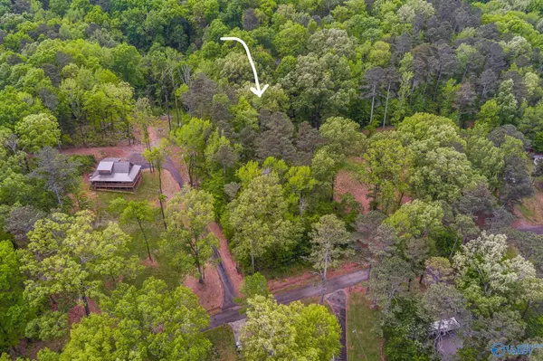 Langston, AL 35755,0.64 Acre Lot Lakeshore Drive