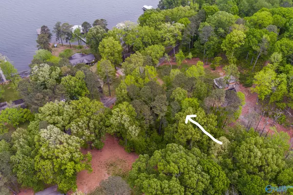 Langston, AL 35755,0.64 Acre Lot Lakeshore Drive