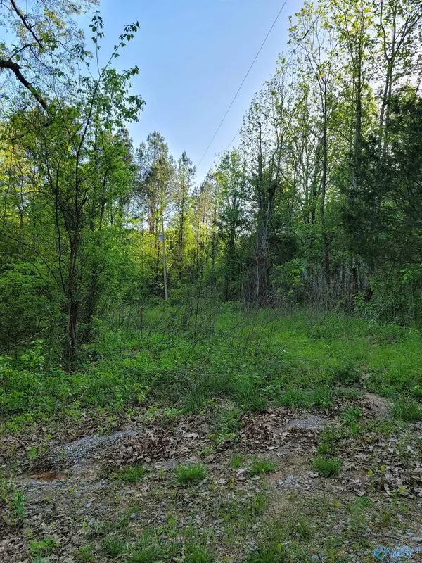 Falkville, AL 35622,200 Zeke Hollow Road