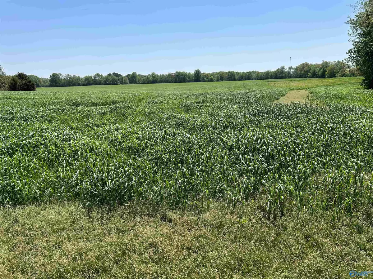 Toney, AL 35773,4.13 Acres Ready Section Road