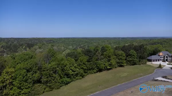 Guntersville, AL 35976,lot 14 Worthington Lane