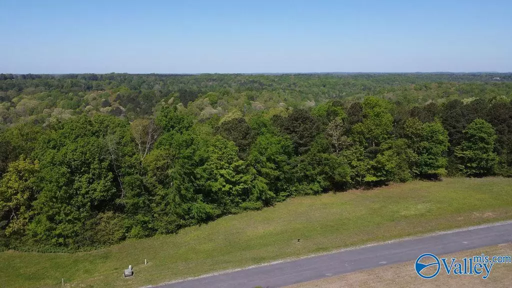 lot 14 Worthington Lane, Guntersville, AL 35976