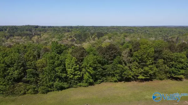 Guntersville, AL 35976,lot 14 Worthington Lane