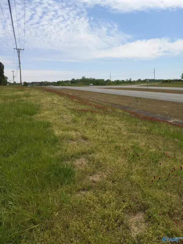 LOT 24 Newman Avenue, Section, AL 35771