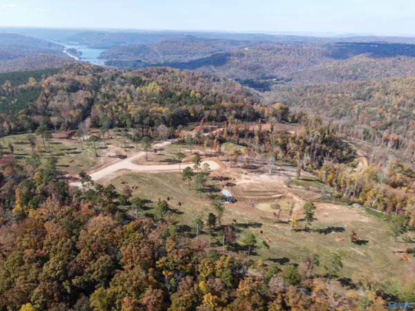 Scottsboro, AL 35769,Lot 8 Mccorkle Mountain Road