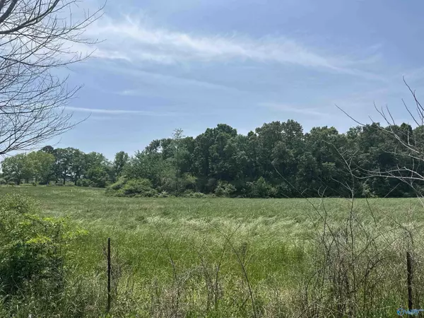 30 Acres County Road 389, Crossville, AL 35962